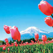 ヒメ日記 2025/05/07 15:48 投稿 黒崎　るな 魅惑の官能アロマエステ　Eureka！八王子 ～エウレカ！～