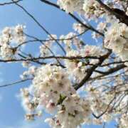 ヒメ日記 2025/04/13 14:45 投稿 ななせ 完全密室 無抵抗