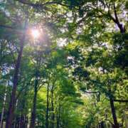 ヒメ日記 2025/05/15 15:30 投稿 いとは もしも素敵な妻が指輪をはずしたら・・・