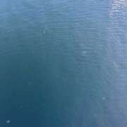 ヒメ日記 2025/08/05 20:00 投稿 いとは もしも素敵な妻が指輪をはずしたら・・・