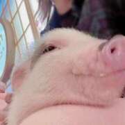 ヒメ日記 2026/03/25 09:37 投稿 ありす 小岩人妻花壇