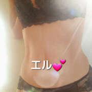 ヒメ日記 2025/03/04 16:48 投稿 エル 月兎（GET）