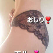 ヒメ日記 2025/03/11 14:42 投稿 エル 月兎（GET）