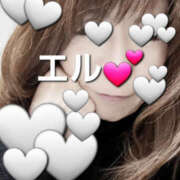 ヒメ日記 2025/03/13 14:14 投稿 エル 月兎（GET）