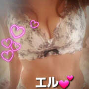 ヒメ日記 2025/03/20 14:39 投稿 エル 月兎（GET）