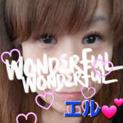 ヒメ日記 2025/03/28 14:53 投稿 エル 月兎（GET）