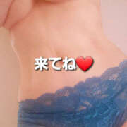 ヒメ日記 2025/04/25 16:42 投稿 エル 月兎（GET）