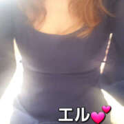 ヒメ日記 2025/05/12 16:39 投稿 エル 月兎（GET）