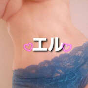 ヒメ日記 2025/06/16 16:42 投稿 エル 月兎（GET）