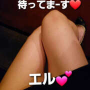 ヒメ日記 2025/07/22 16:54 投稿 エル 月兎（GET）