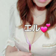 ヒメ日記 2025/07/26 16:11 投稿 エル 月兎（GET）