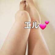 ヒメ日記 2025/09/11 17:04 投稿 エル 月兎（GET）