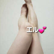 ヒメ日記 2025/09/22 17:10 投稿 エル 月兎（GET）