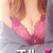 ヒメ日記 2025/11/04 16:49 投稿 エル 月兎（GET）