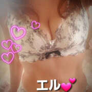 ヒメ日記 2025/11/20 13:36 投稿 エル 月兎（GET）