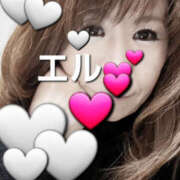 ヒメ日記 2026/03/06 16:49 投稿 エル 月兎（GET）