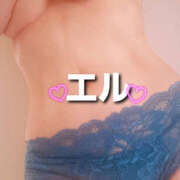 ヒメ日記 2026/04/28 16:07 投稿 エル 月兎（GET）