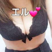 ヒメ日記 2026/10/14 15:34 投稿 エル 月兎（GET）