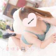 ヒメ日記 2025/08/12 14:30 投稿 あお ギン妻パラダイス 堺東店