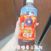 あお けんこ～みねらる ギン妻パラダイス 堺東店