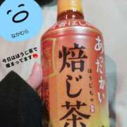 中村　静羽 🔥 京都出張メンズエステChou Chou（シュシュ)