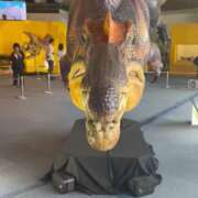 ゆるめ スピノサウルス(｢・ω・)｢ｶﾞｵｰ 派遣型JKリフレ ぷるぷる池袋
