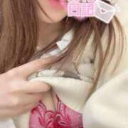 ヒメ日記 2025/03/14 23:06 投稿 ゆうみ 横浜コスプレデビュー（シンデレラグループ）