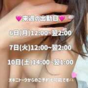 ヒメ日記 2025/05/02 17:24 投稿 ゆうみ 横浜コスプレデビュー（シンデレラグループ）