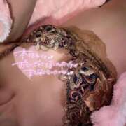 ヒメ日記 2025/06/24 02:22 投稿 ゆうみ 横浜コスプレデビュー（シンデレラグループ）