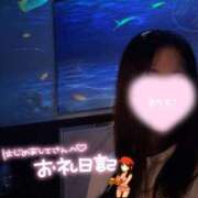 ヒメ日記 2025/07/23 03:59 投稿 ゆうみ 横浜コスプレデビュー（シンデレラグループ）