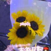 ヒメ日記 2025/07/25 23:32 投稿 ゆうみ 横浜コスプレデビュー（シンデレラグループ）