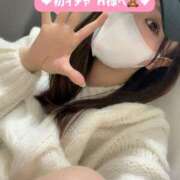 ヒメ日記 2025/11/15 06:00 投稿 ゆうみ 横浜コスプレデビュー（シンデレラグループ）