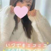 ヒメ日記 2025/11/15 07:03 投稿 ゆうみ 横浜コスプレデビュー（シンデレラグループ）