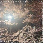 ヒメ日記 2025/03/25 12:30 投稿 いずみ ～優しい若妻倶楽部～Mrs.女神