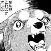 ヒメ日記 2025/01/06 08:59 投稿 れむる ドマーニ