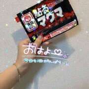 ヒメ日記 2025/01/07 09:15 投稿 れむる ドマーニ