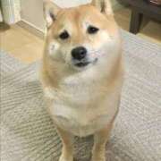 ヒメ日記 2025/01/14 08:24 投稿 れむる ドマーニ