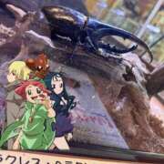 ヒメ日記 2025/01/20 10:04 投稿 れむる ドマーニ