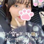 ヒメ日記 2025/01/29 08:17 投稿 れむる ドマーニ