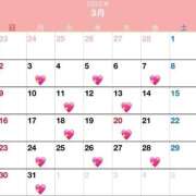 ヒメ日記 2025/02/13 00:28 投稿 れむる ドマーニ