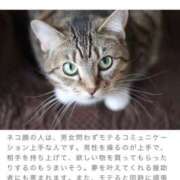 ヒメ日記 2025/02/25 10:15 投稿 れむる ドマーニ