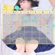 ヒメ日記 2025/04/26 10:54 投稿 れむる ドマーニ