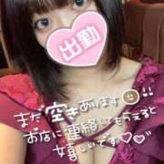 ヒメ日記 2025/05/27 07:50 投稿 れむる ドマーニ