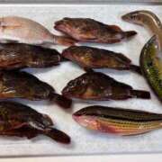 ヒメ日記 2025/06/28 22:11 投稿 れむる ドマーニ