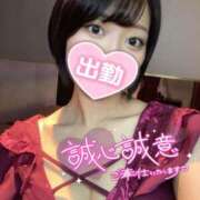 ヒメ日記 2025/07/02 08:54 投稿 れむる ドマーニ