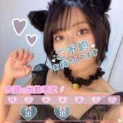 ヒメ日記 2025/08/04 07:45 投稿 れむる ドマーニ