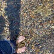 ヒメ日記 2025/08/12 23:13 投稿 れむる ドマーニ