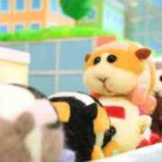 ヒメ日記 2025/08/28 08:58 投稿 れむる ドマーニ