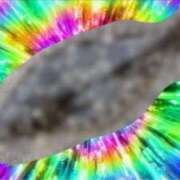 ヒメ日記 2025/11/04 10:15 投稿 れむる ドマーニ