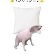ヒメ日記 2026/09/12 03:43 投稿 れむる ドマーニ